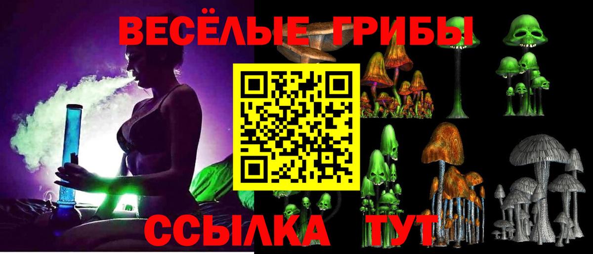 Асино  Галлюциногенные грибы Psilocybine cubensis  Вход с VPN 