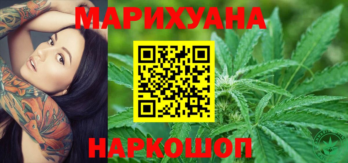 Канабис сатива Асино